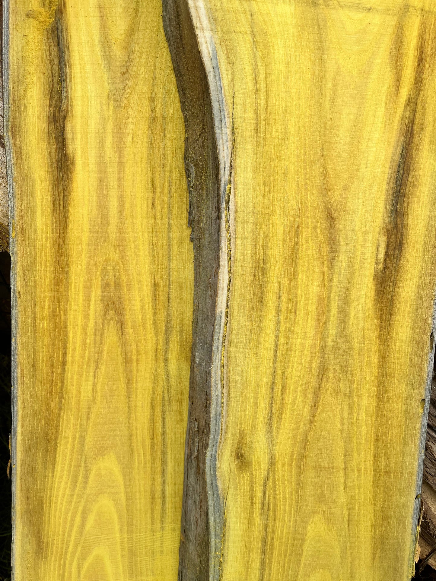 1" Thick Rough Cut Osage Orange (Bois d'Arc) Live Edge Slabs for Charcuterie Boards, Furniture, Tables and Bar Tops, Shelves, and More - Kiln Dried
