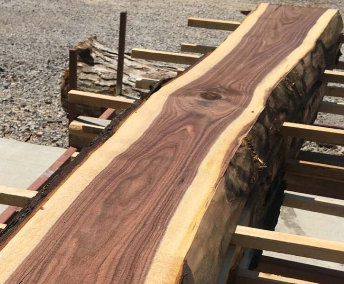 1" Thick Rough Cut Black Walnut Live Edge Slabs for Charcuterie Boards, Furniture, Table and Bar Tops, Shelves, and More - Kiln Dried
