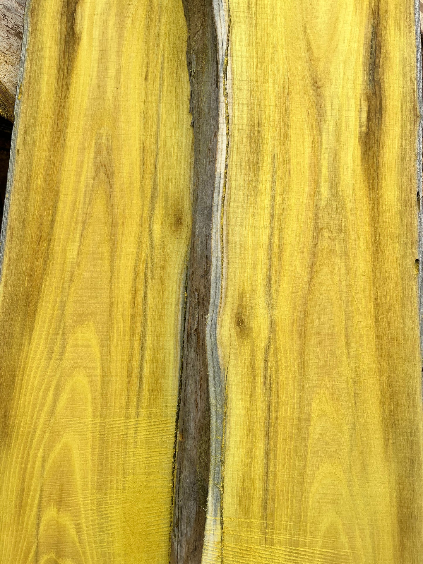 2" Thick Rough Cut Osage Orange (Bois d'Arc) Live Edge Slabs for Charcuterie Boards, Furniture, Table and Bar Tops, Shelves, and More - Kiln Dried