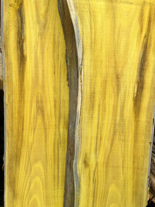 2" Thick Planed Osage Orange (Bois d'Arc) Live Edge Slabs for Charcuterie Boards, Furniture, Tables and Bar Tops, Shelves, and More - Kiln Dried