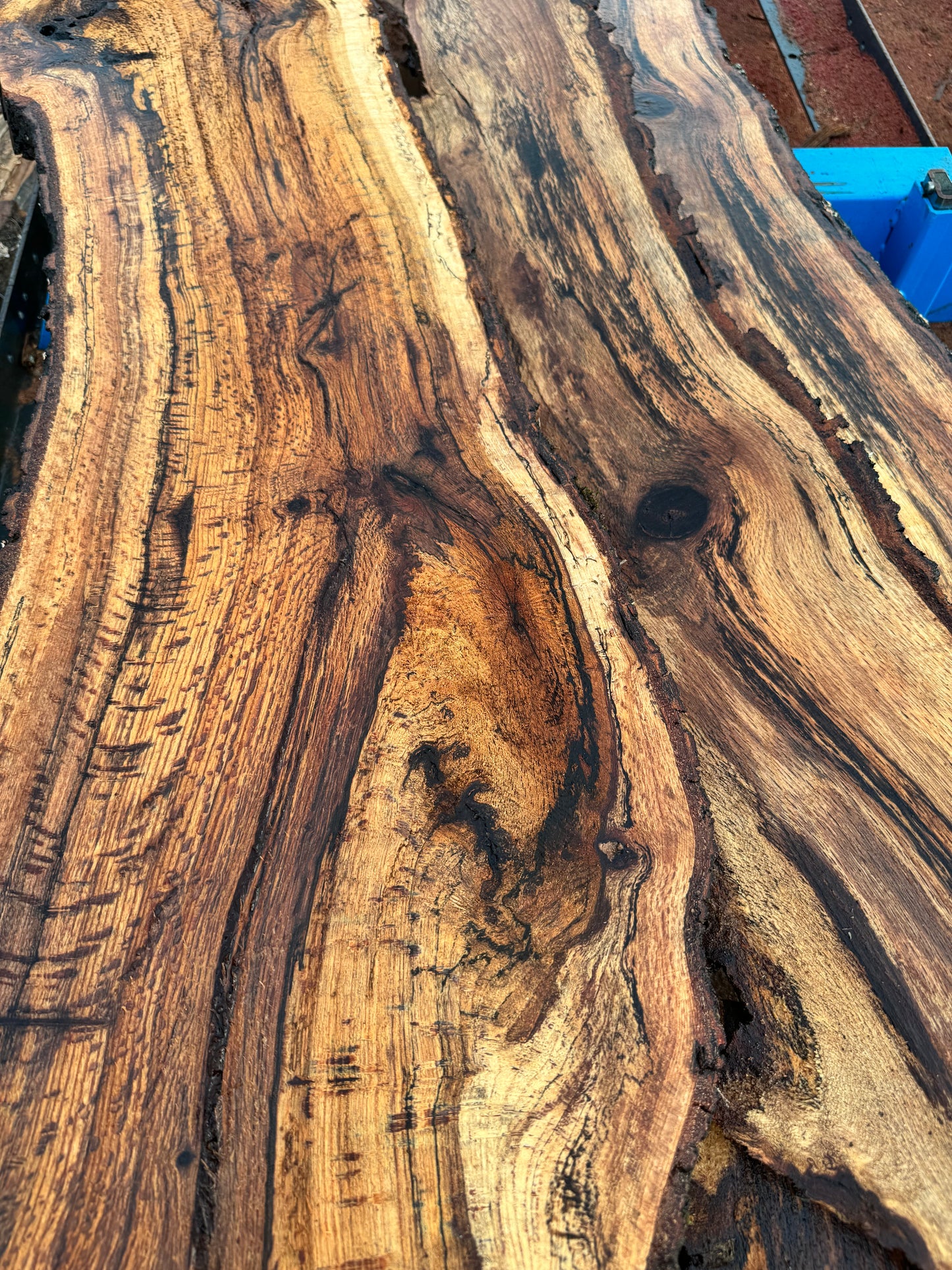 1" Thick Planed Black Oak (Blackjack) Live Edge Slabs for Charcuterie Boards, Furniture, Tables and Bar Tops, Shelves, and More - Kiln Dried (Copy)
