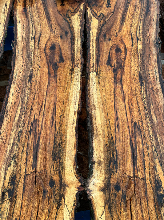 1" Thick Planed Black Oak (Blackjack) Live Edge Slabs for Charcuterie Boards, Furniture, Tables and Bar Tops, Shelves, and More - Kiln Dried (Copy)