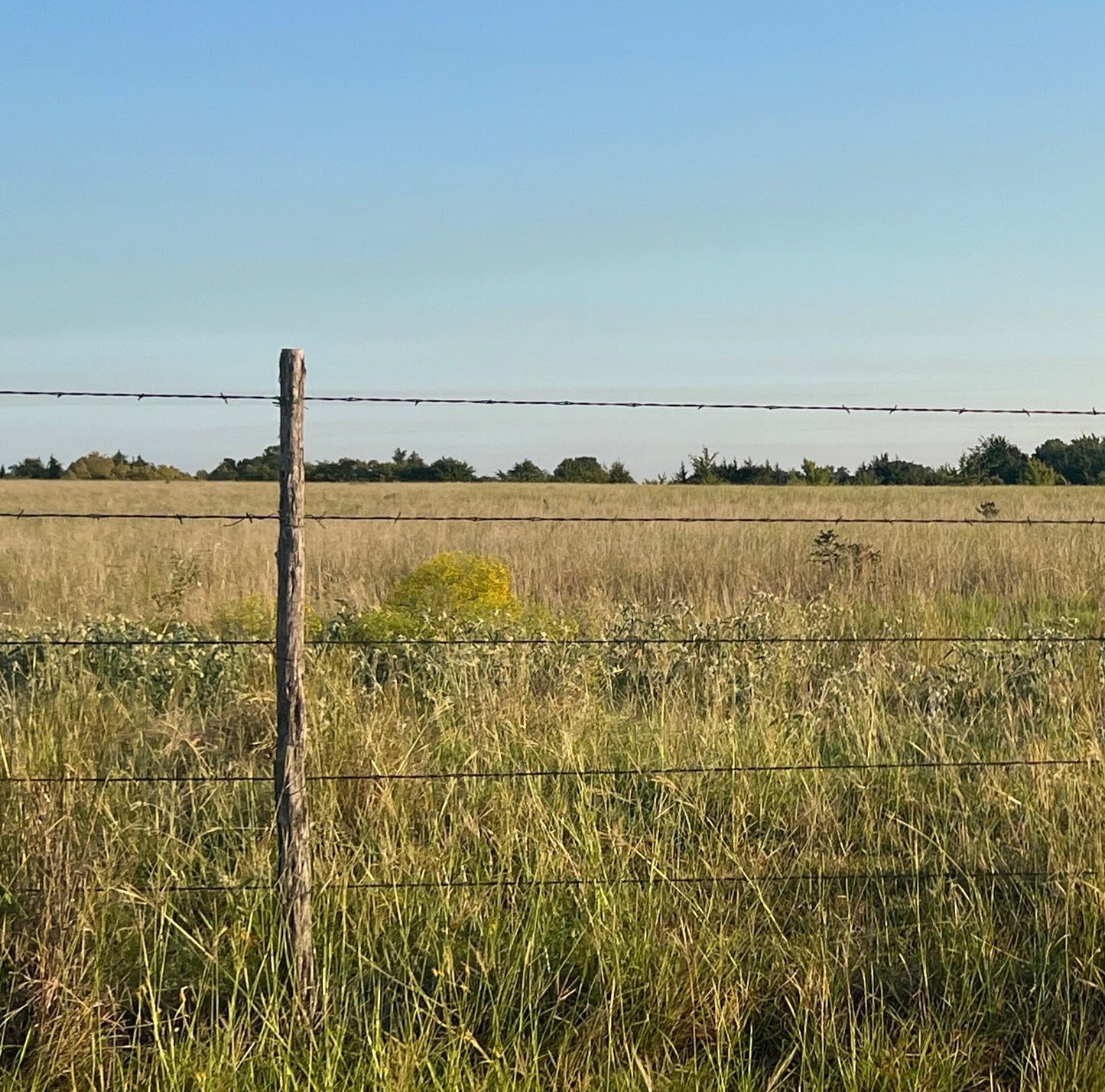 Fence Post